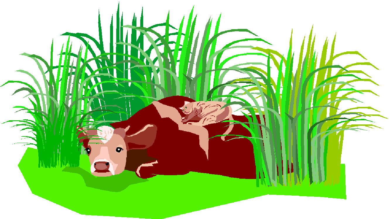 Cows clip art