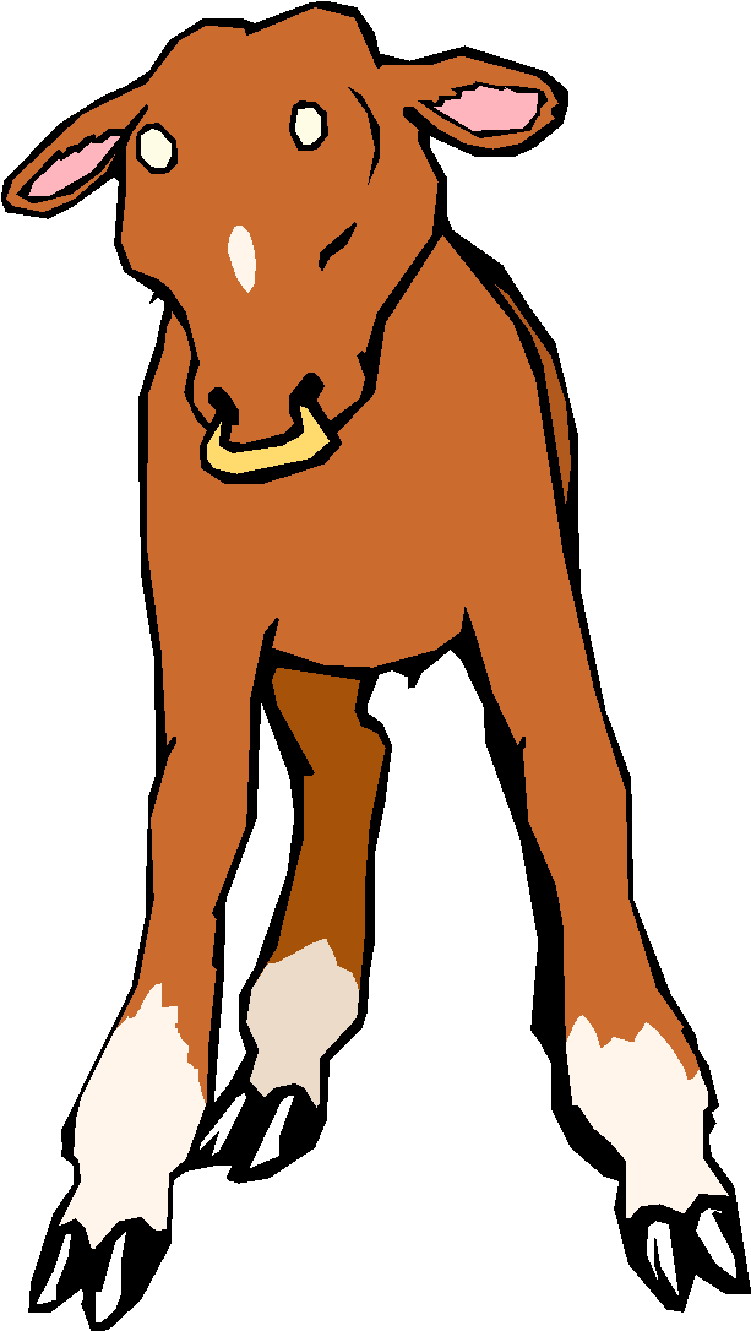 Cows clip art