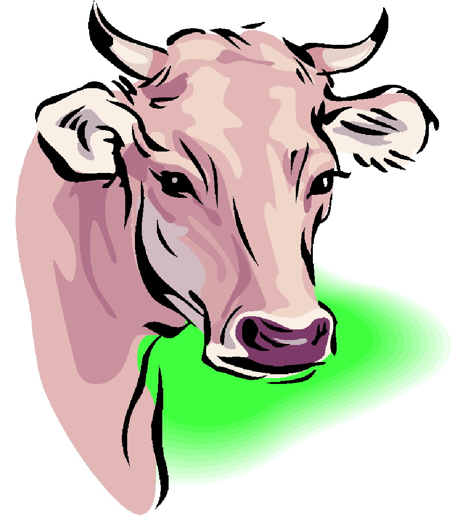 Cows clip art