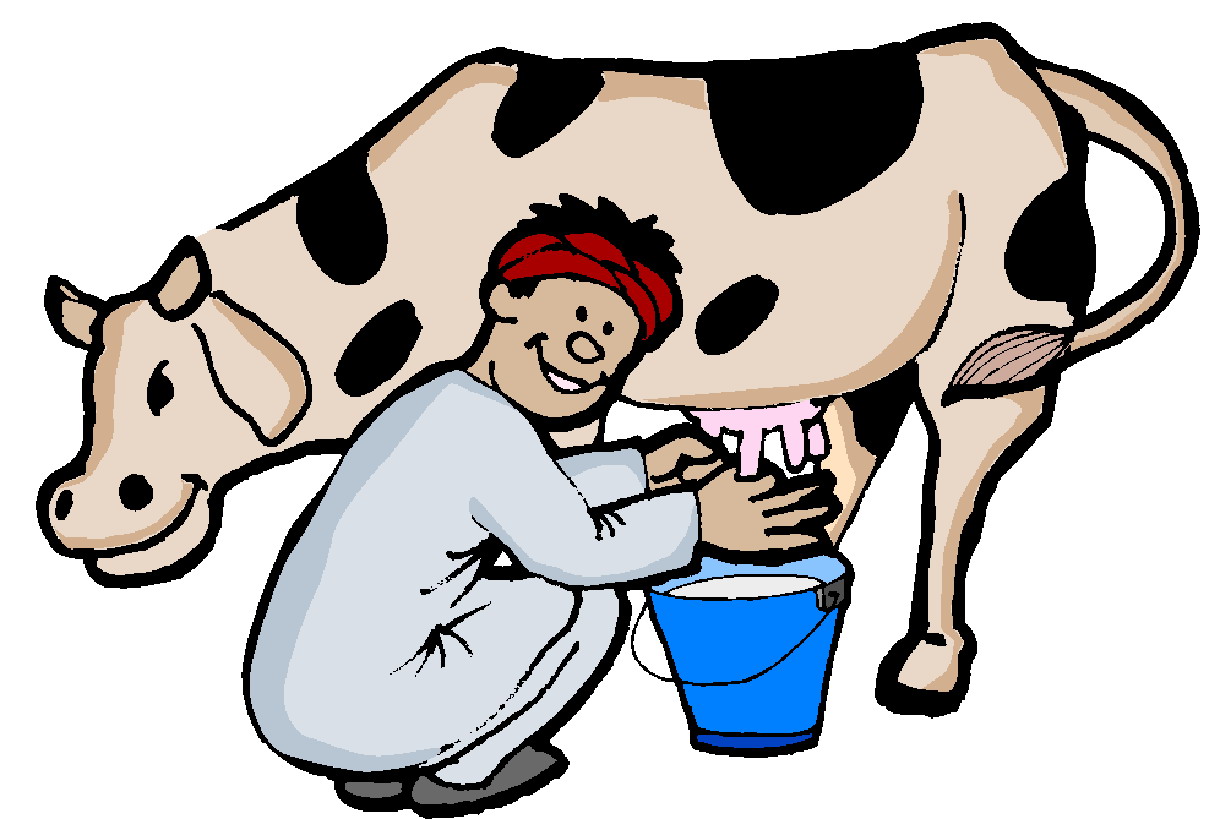 Cows clip art