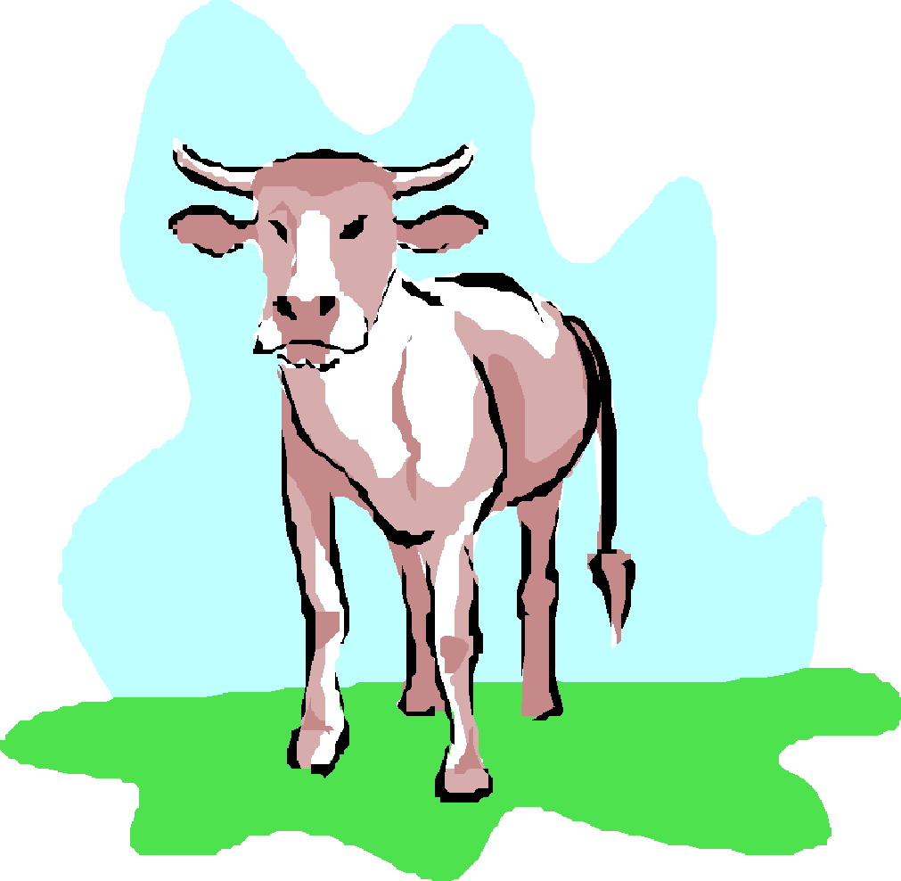 Cows clip art