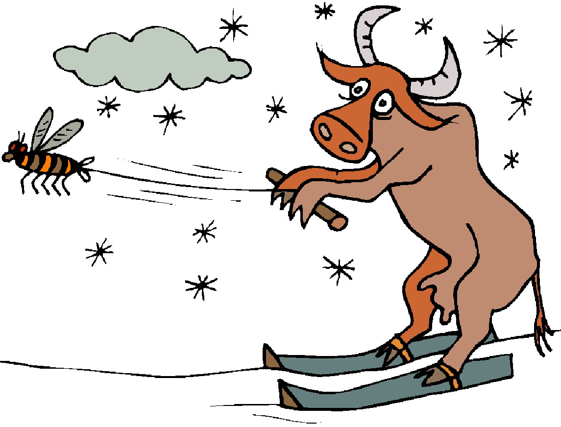 Cows clip art