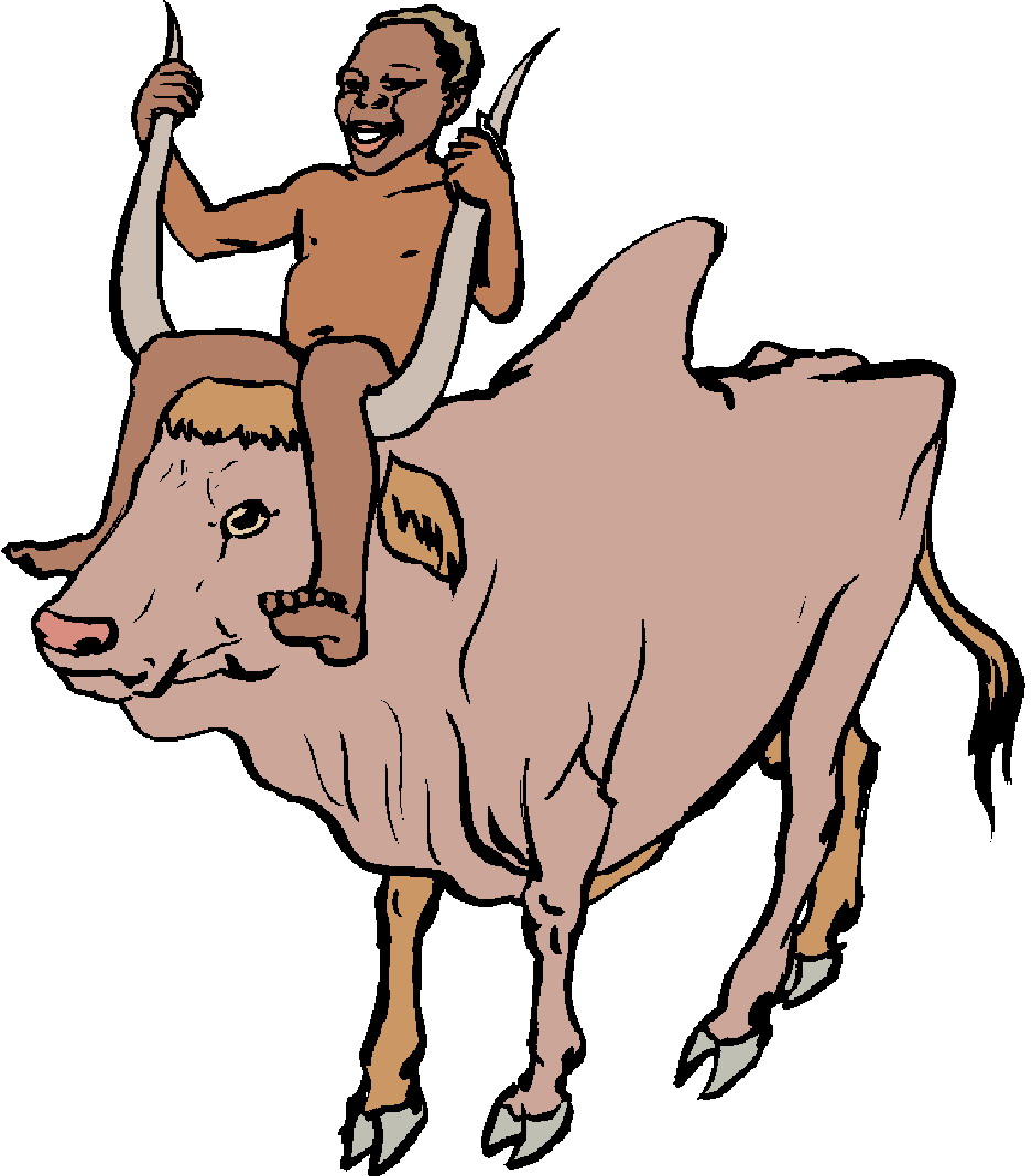 Cows clip art