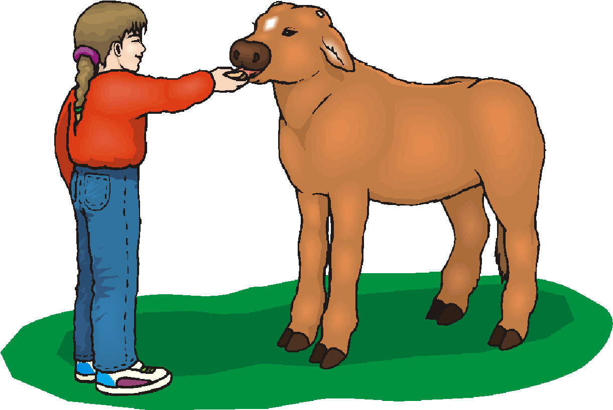 Cows clip art