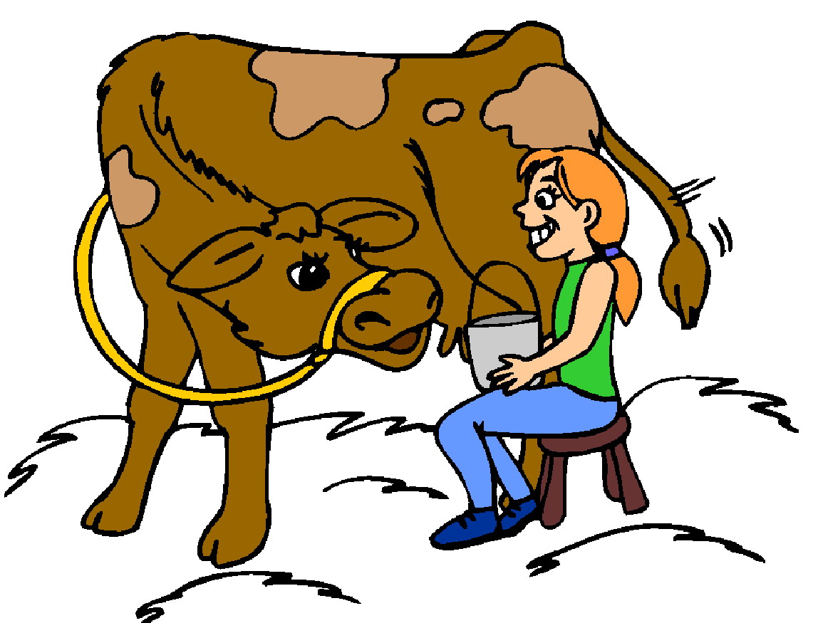 Cows clip art