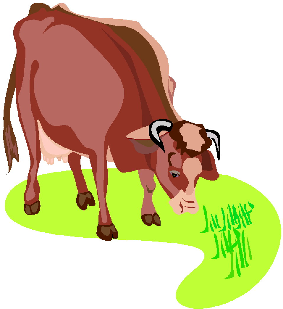 Cows clip art