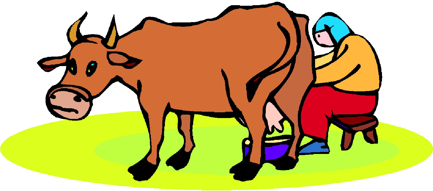 Cows clip art