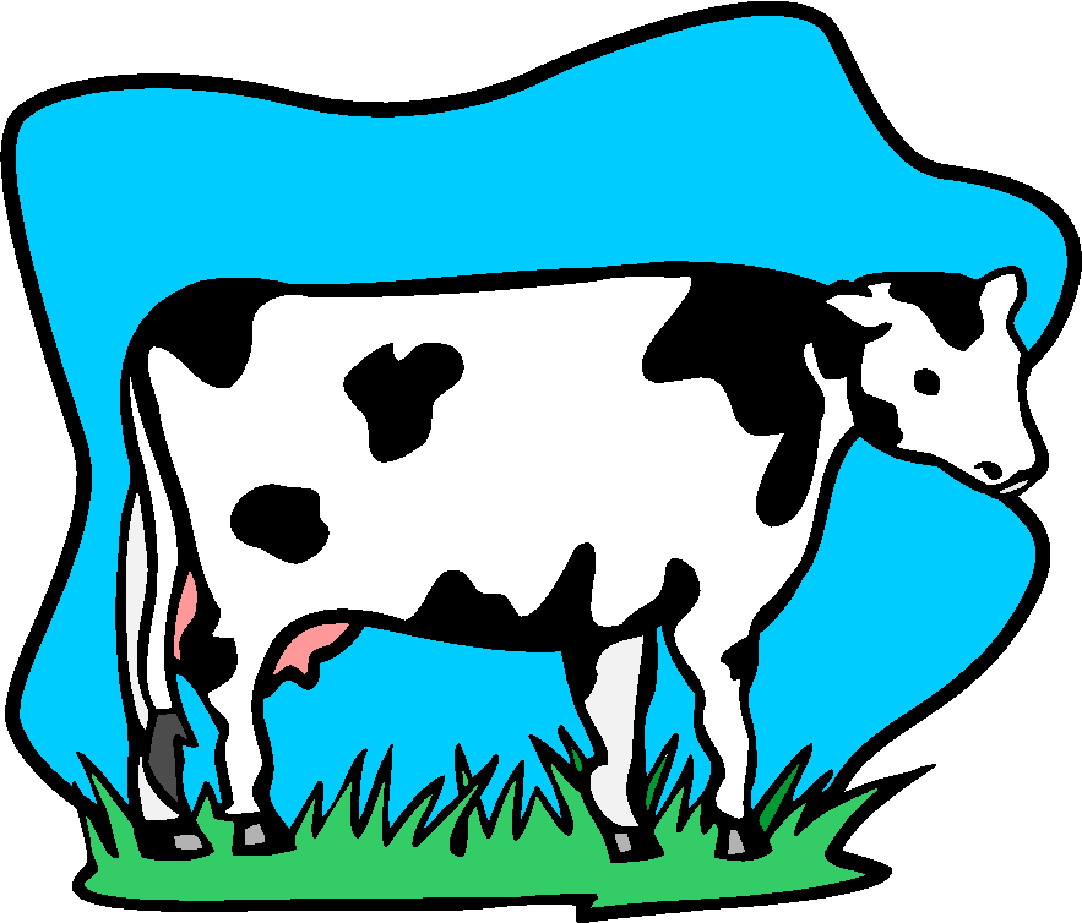 Cows clip art