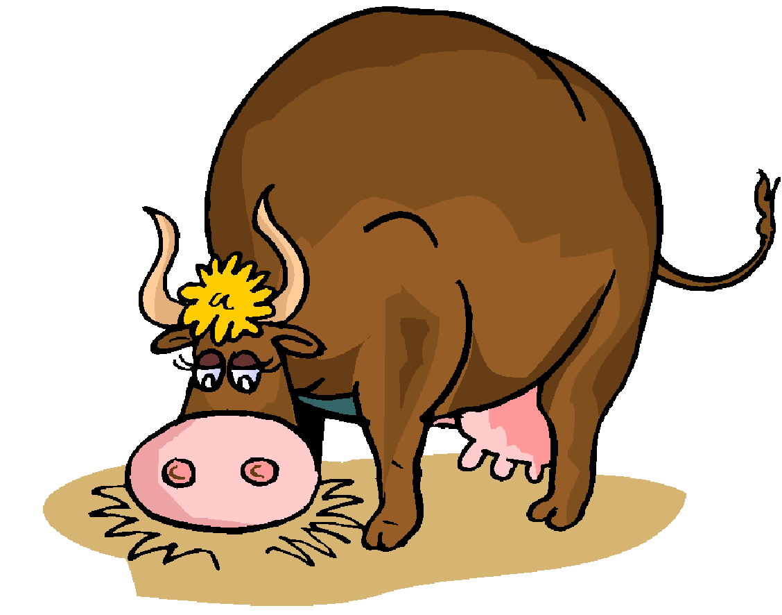 Cows clip art