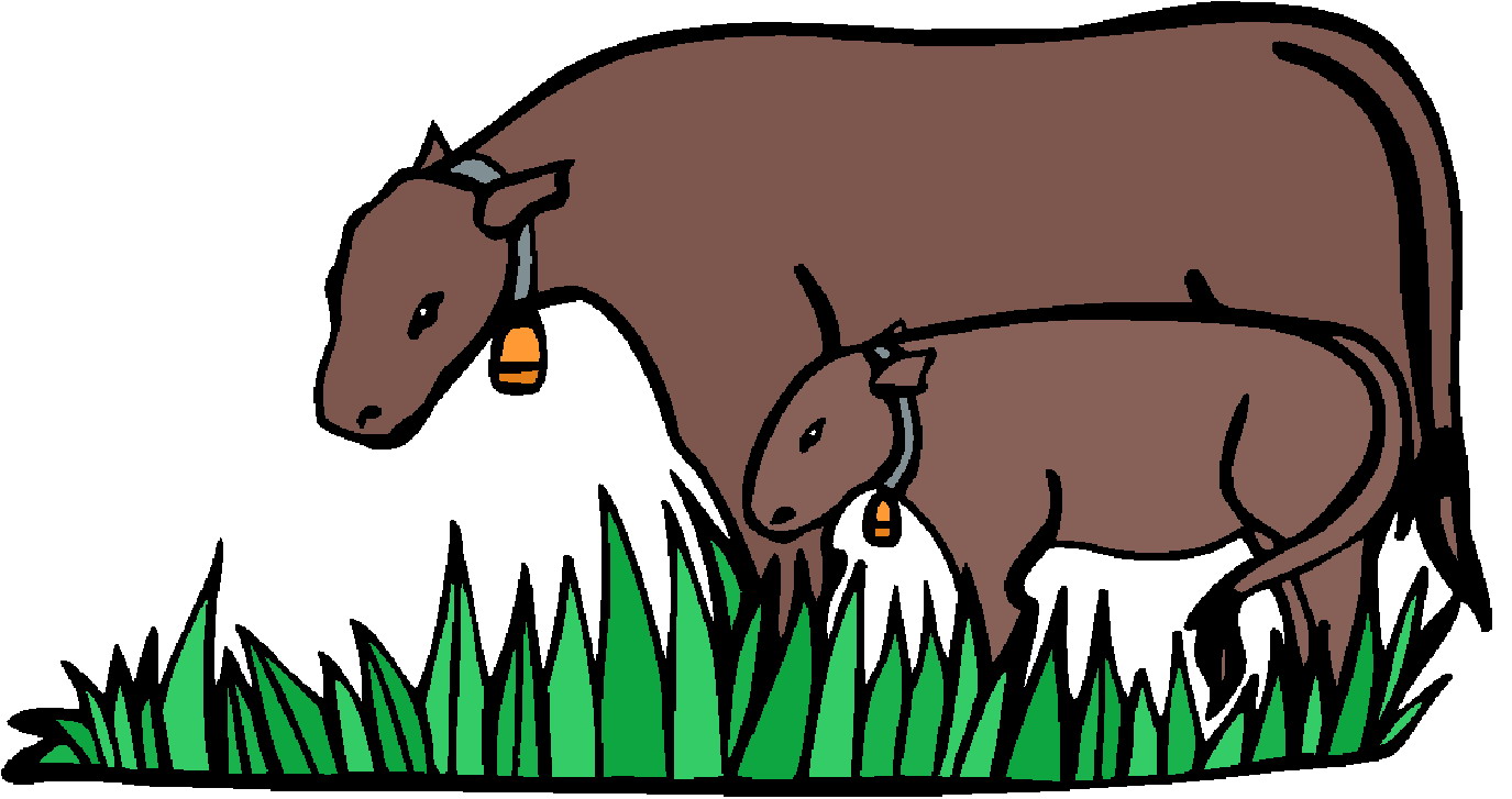 Cows clip art