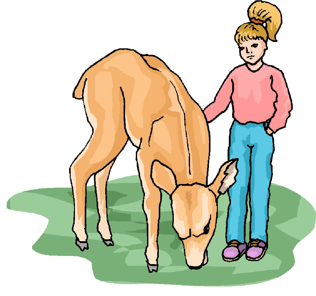 Cows clip art