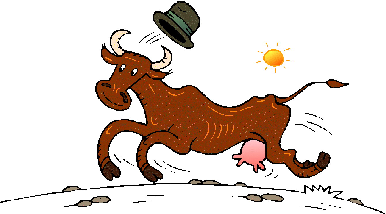 Cows clip art