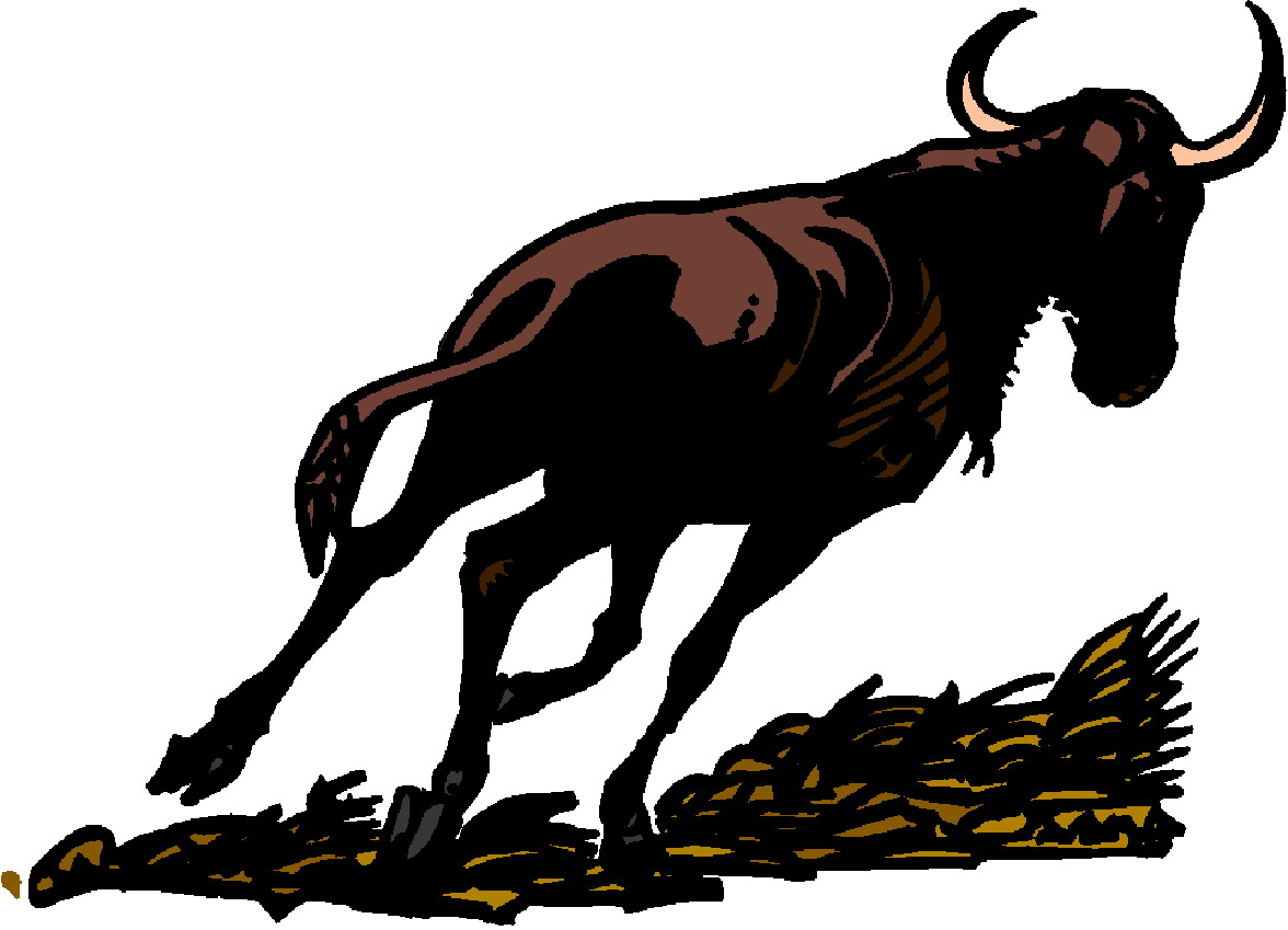 Cows clip art