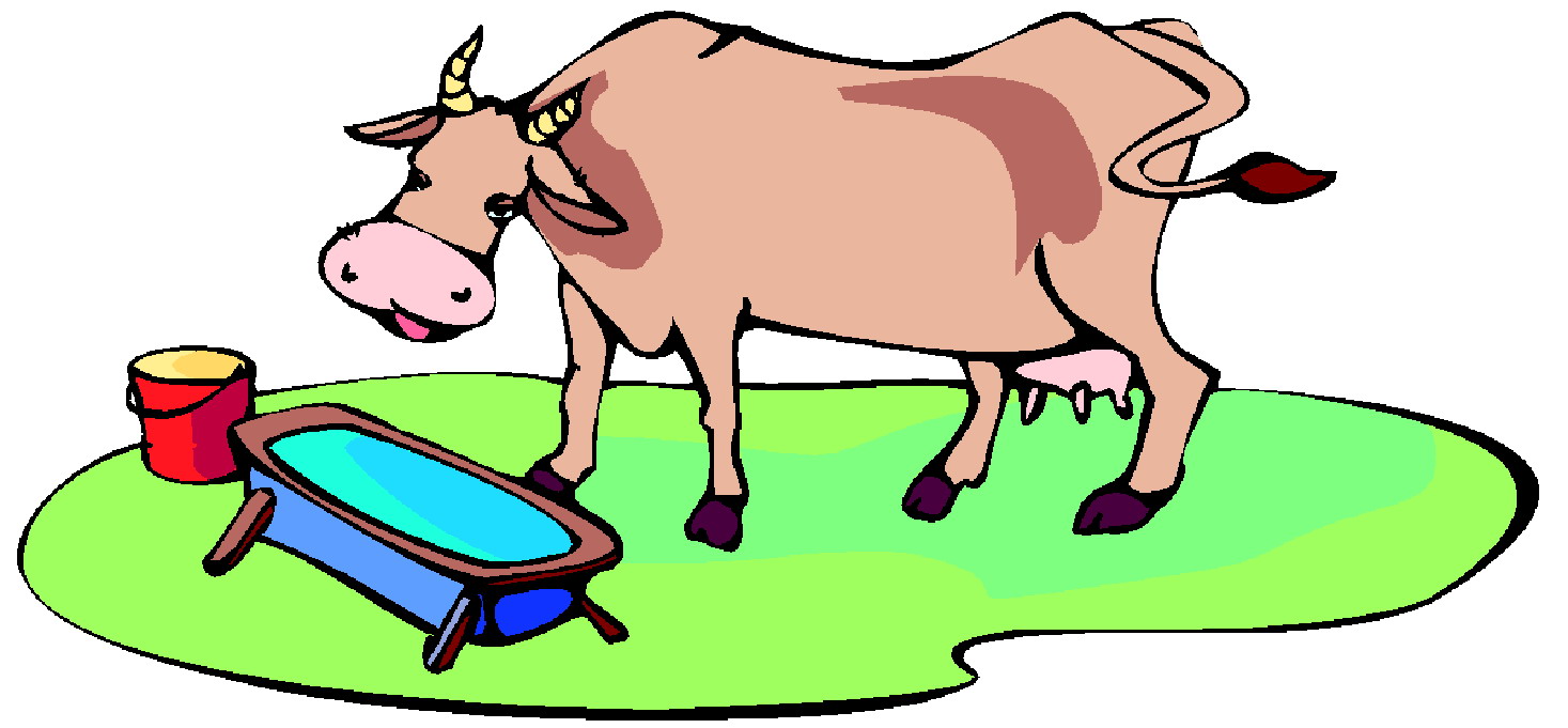 Cows clip art