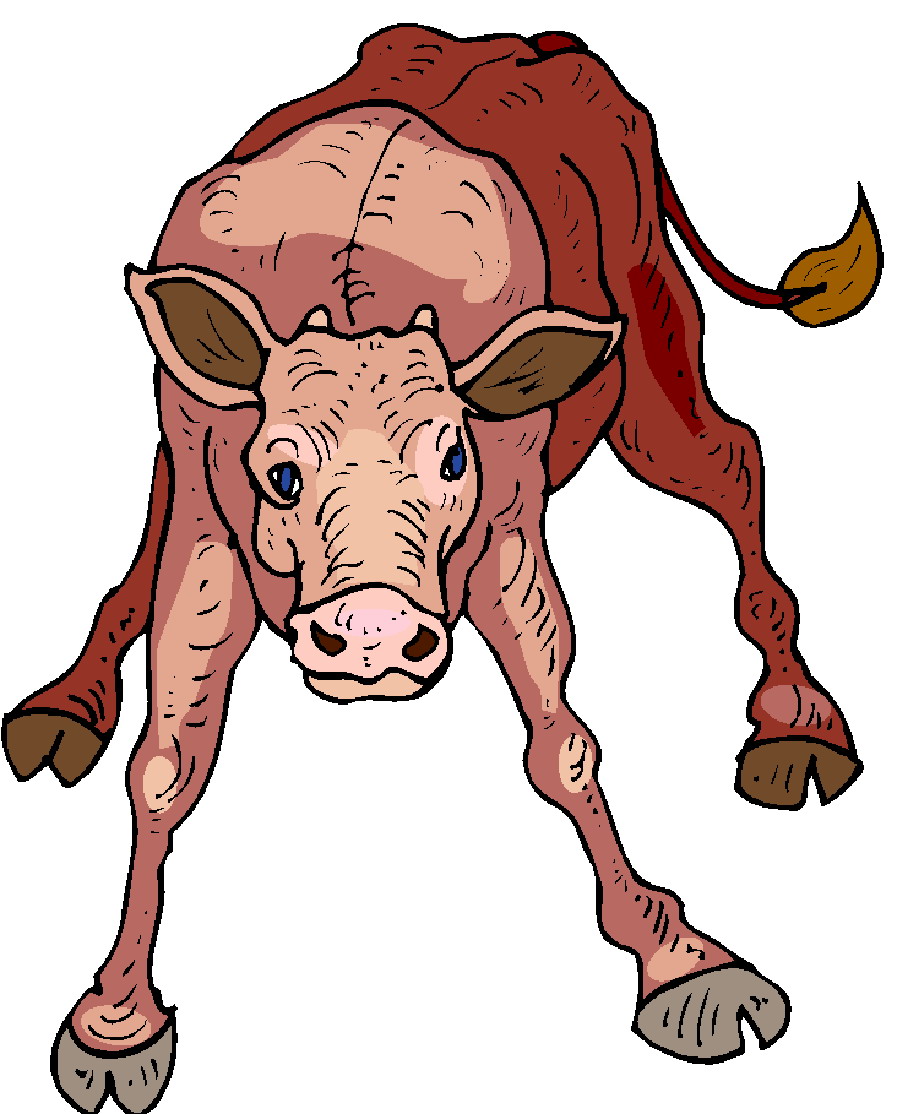 Cows clip art