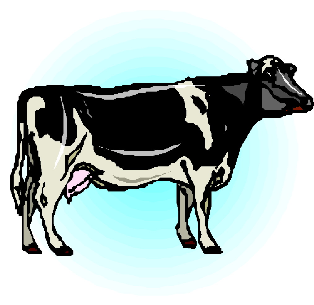 Cows clip art