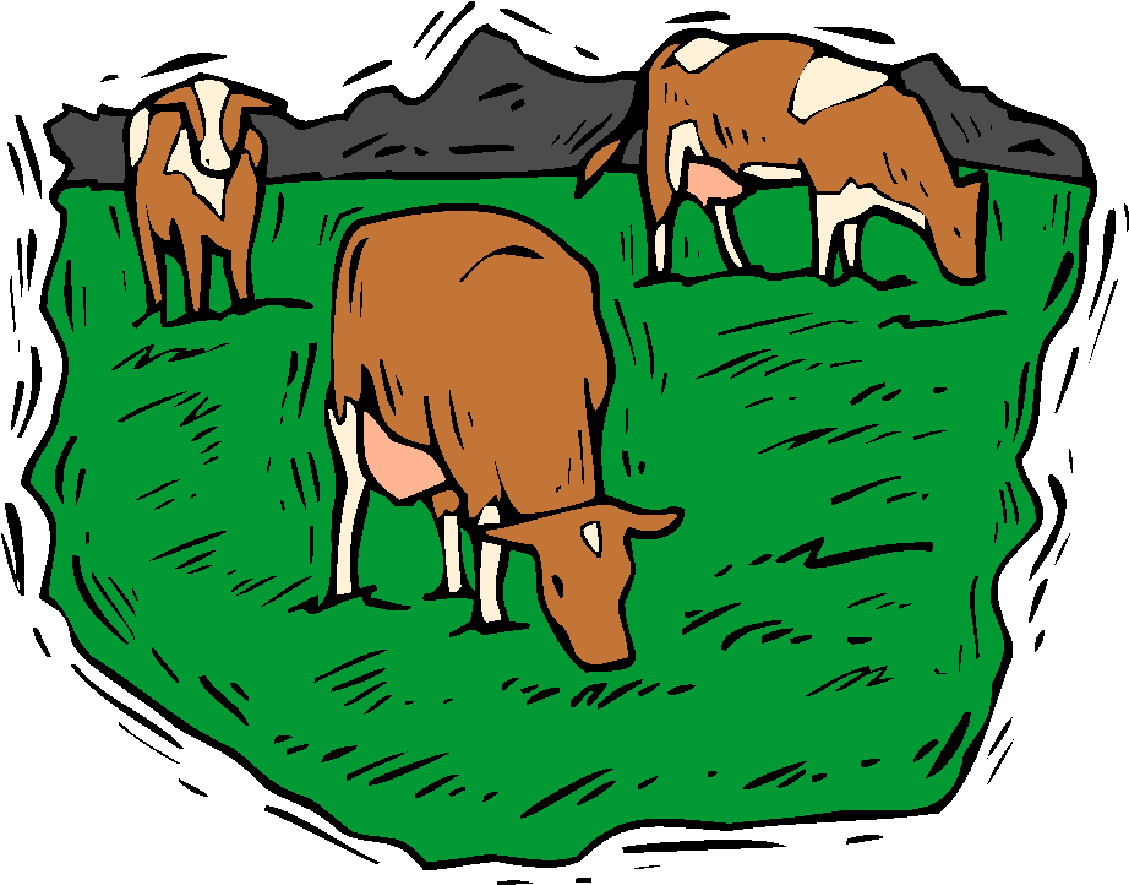 Cows clip art