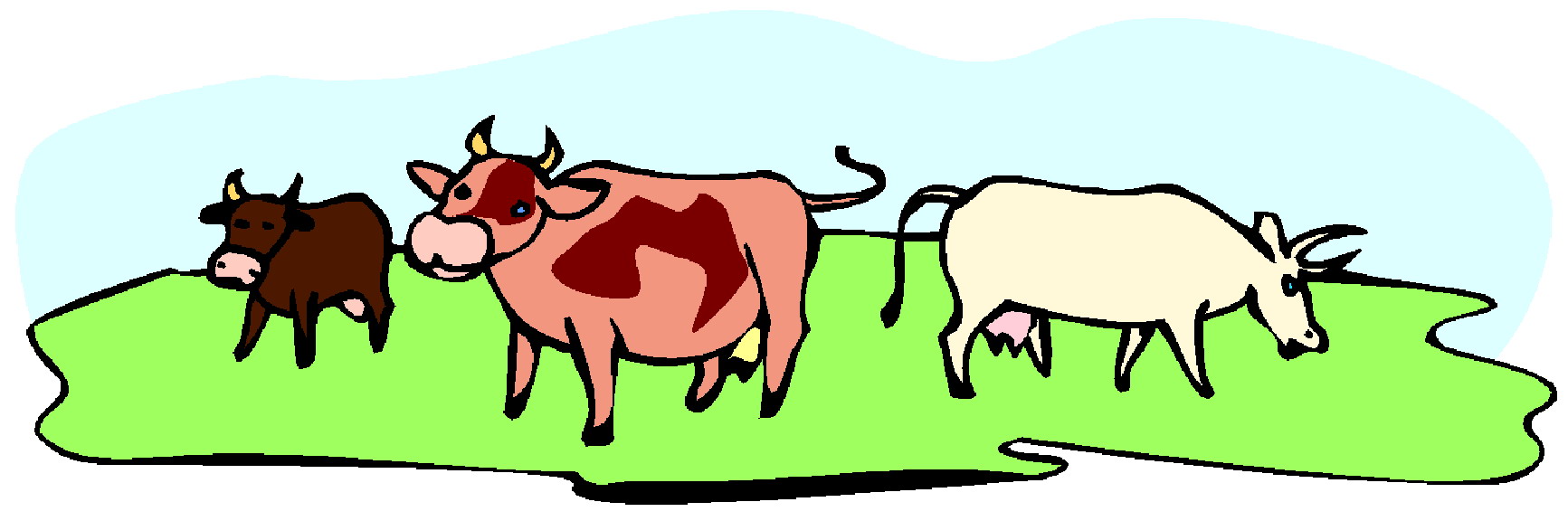 Cows clip art