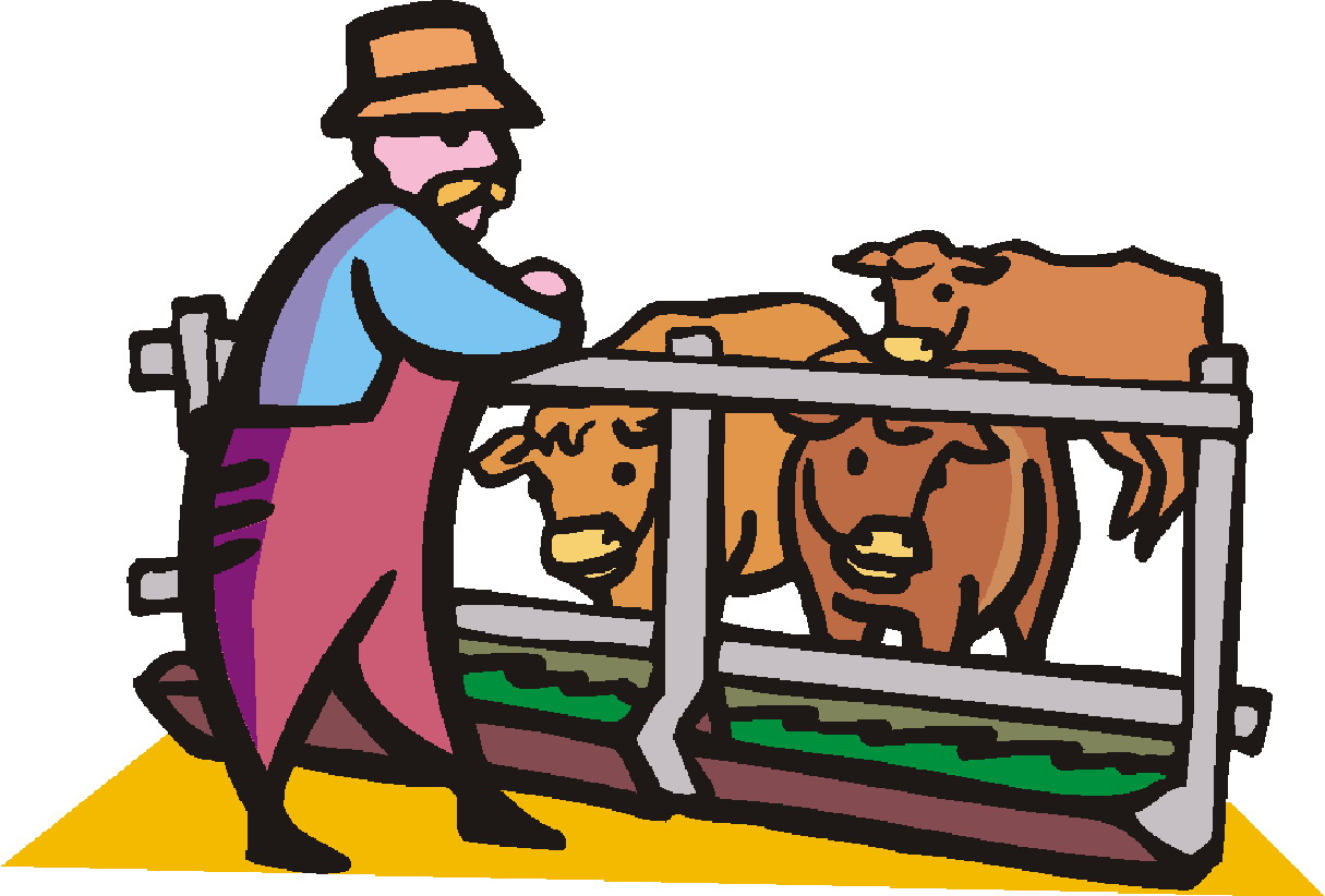 Cows clip art