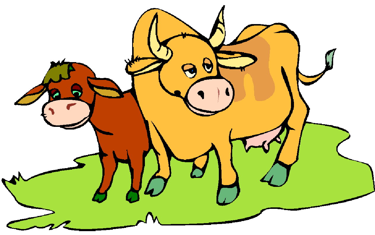 Cows clip art