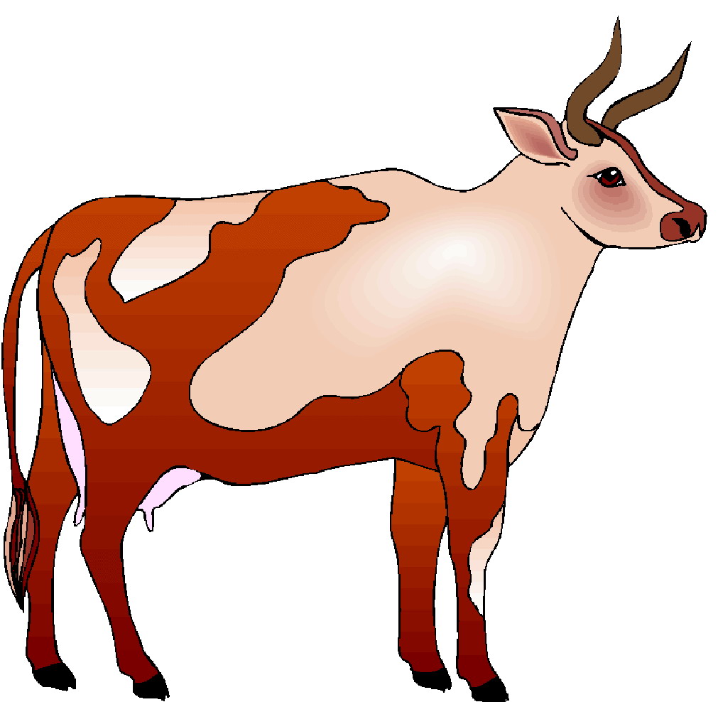 Cows clip art