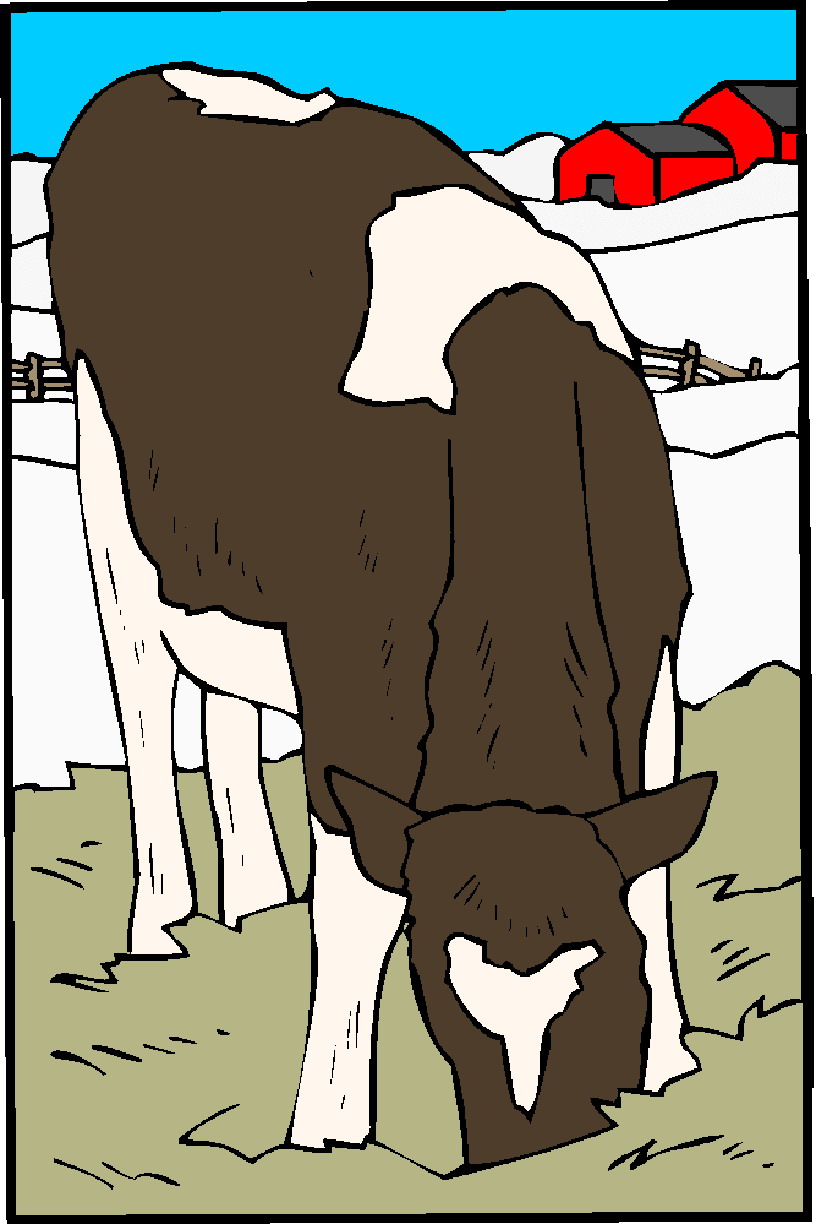 Cows clip art