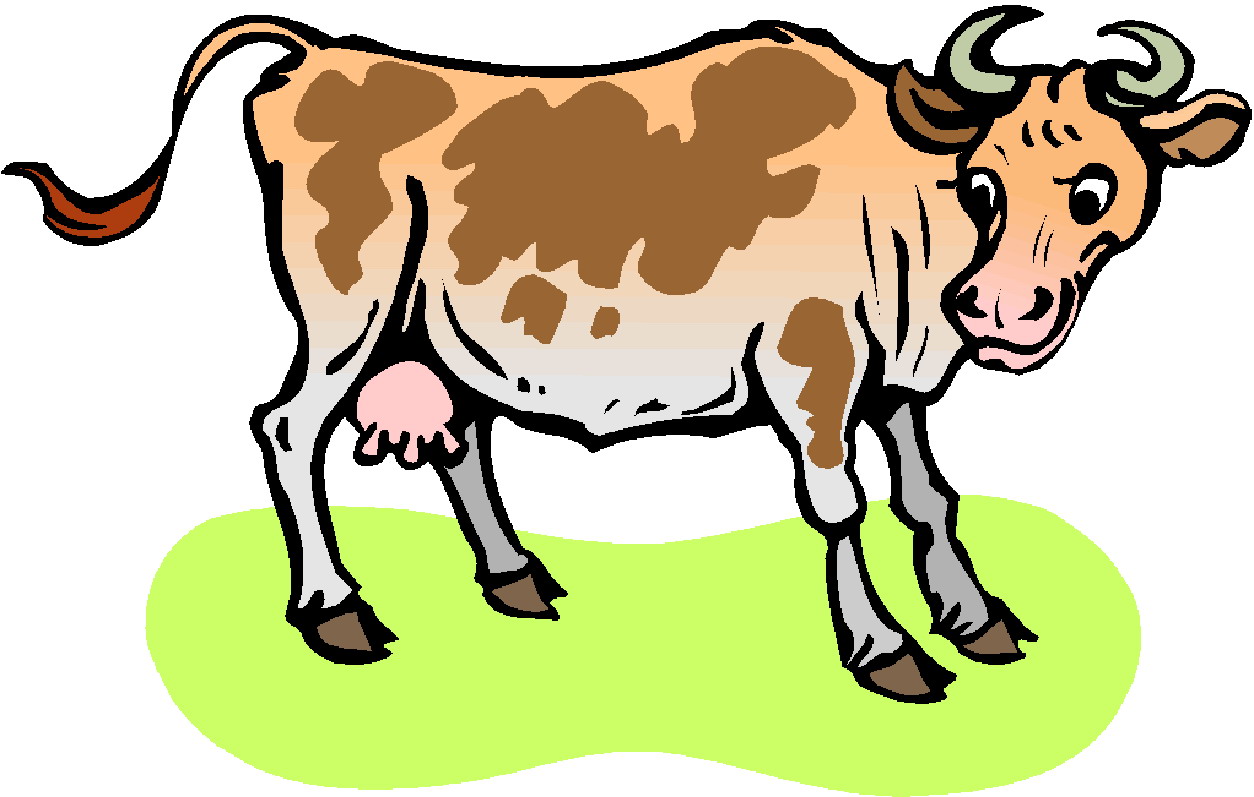 Cows clip art