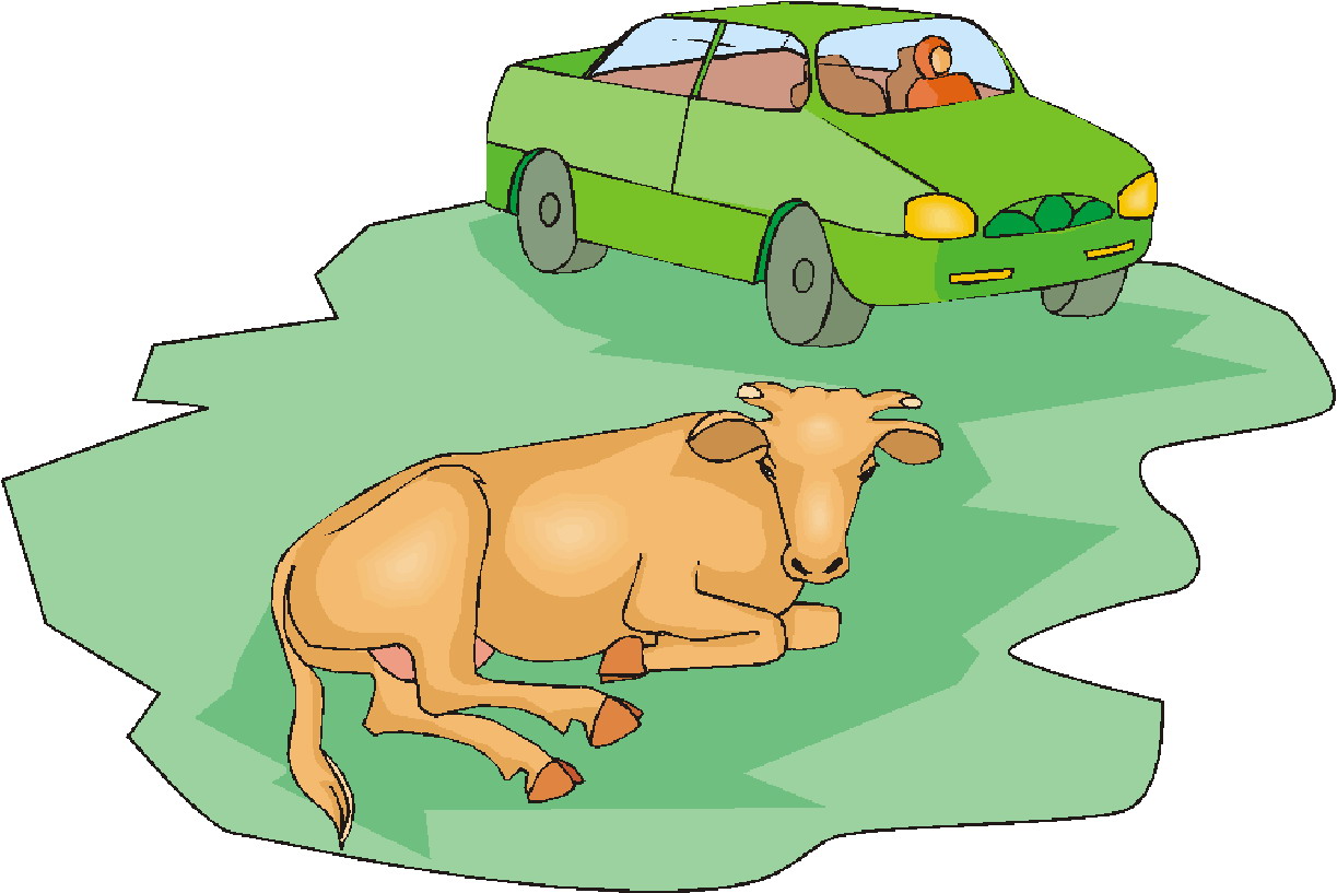 Cows clip art