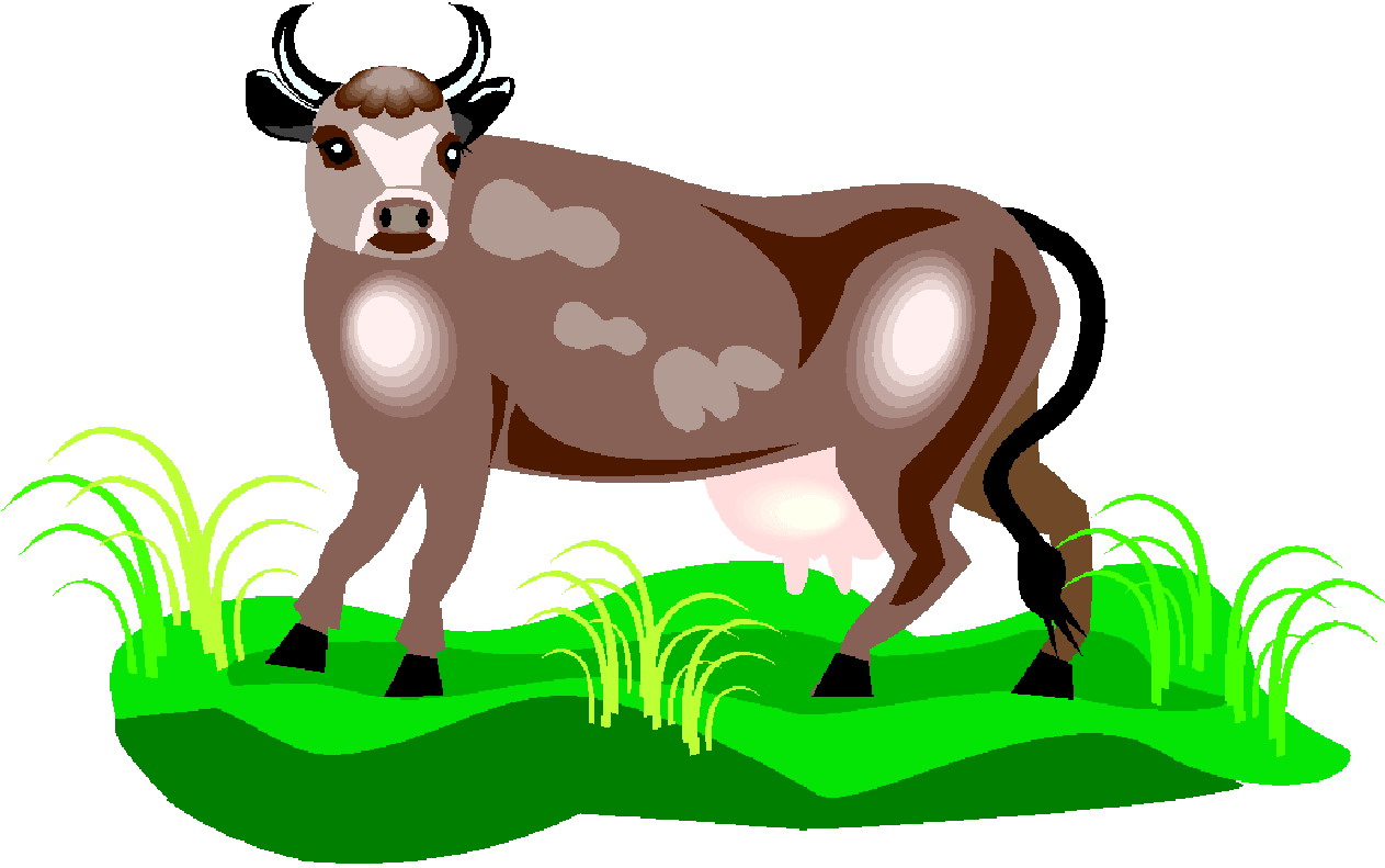 Cows clip art