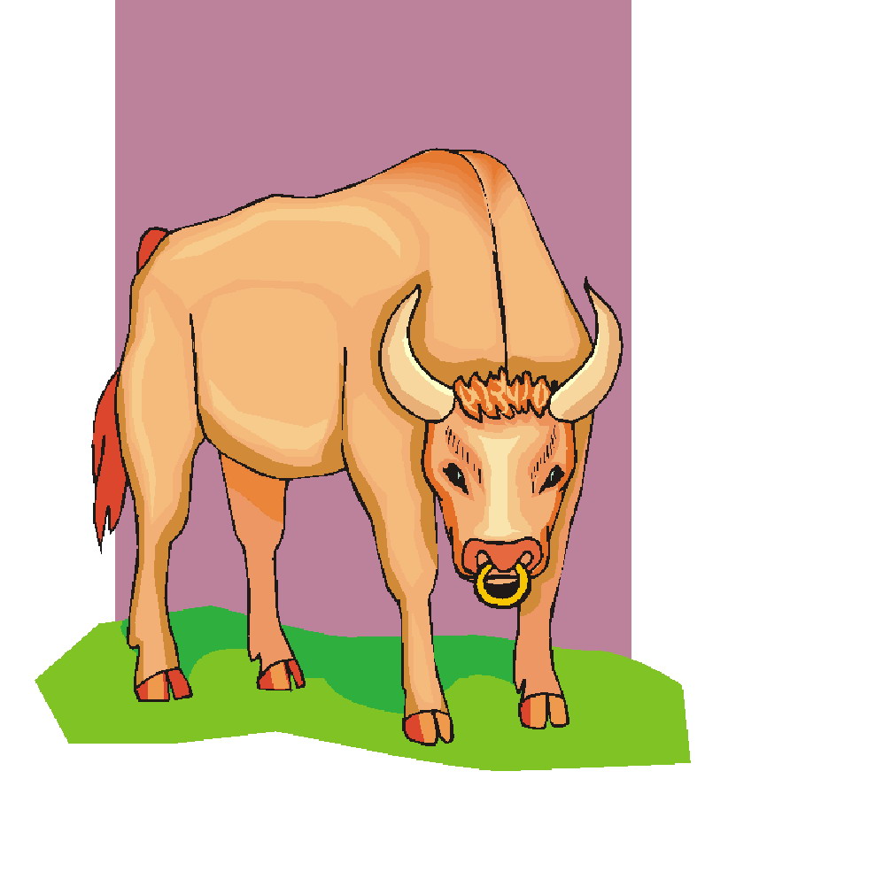 Cows clip art