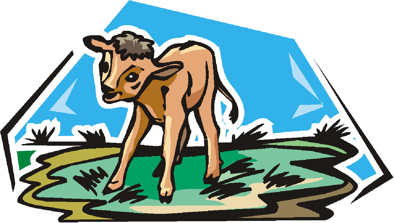 Cows clip art