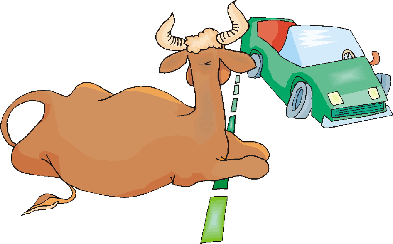 Cows clip art