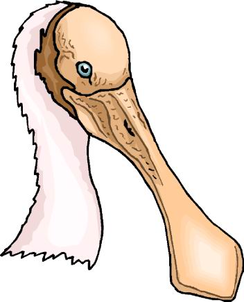 Ducks clip art