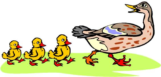 Ducks clip art