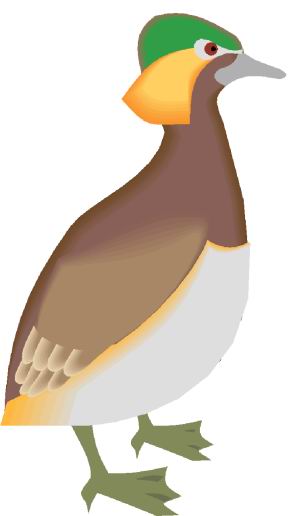 Ducks clip art