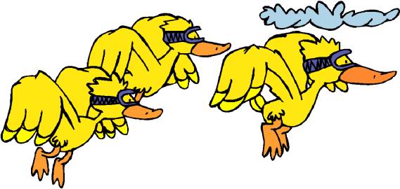 Ducks clip art