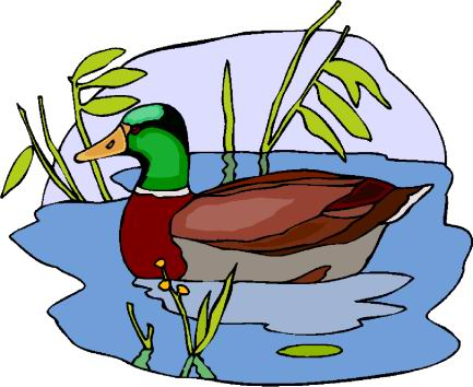 Ducks clip art