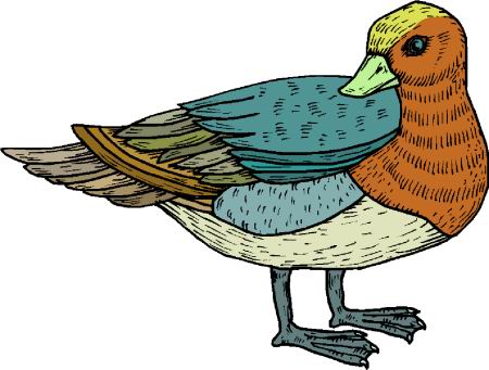 Ducks clip art