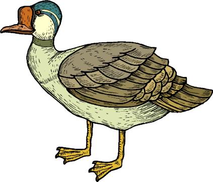 Ducks clip art