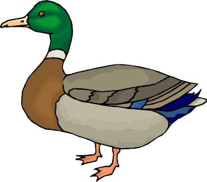 Ducks clip art