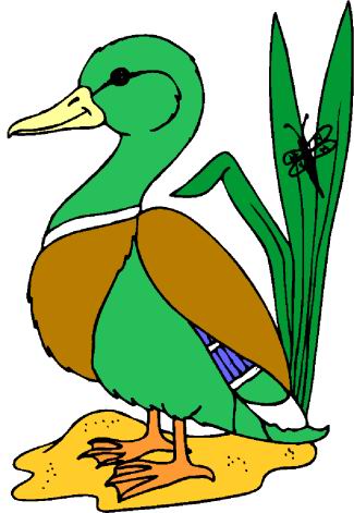 Ducks clip art
