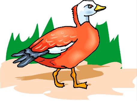 Ducks clip art