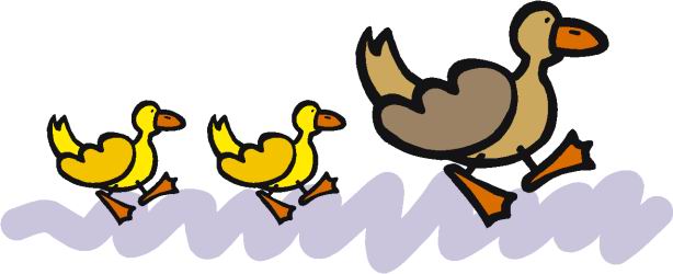 Ducks clip art