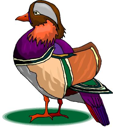 Ducks clip art