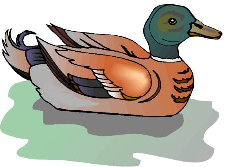 Ducks clip art