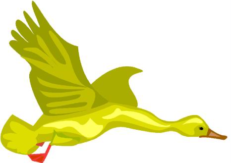 Ducks clip art