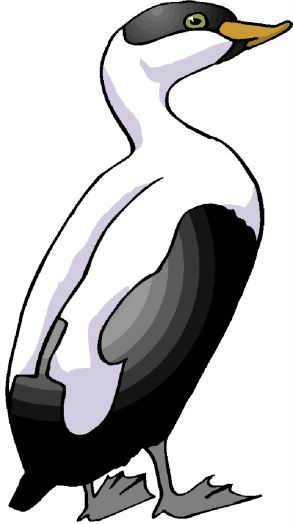 Ducks clip art