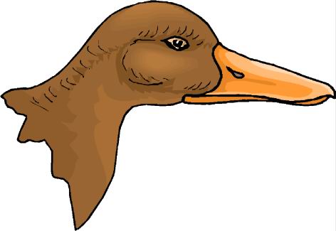 Ducks clip art