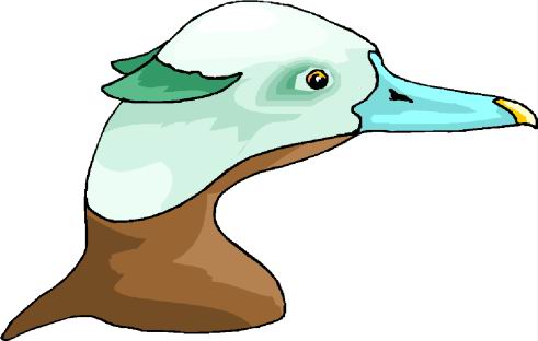 Ducks clip art