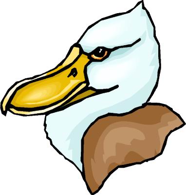 Ducks clip art